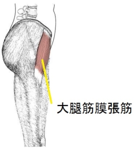 大腿筋膜張筋のストレッチ 王寺 西大和の腰痛整体院 やまうらオステオパシー